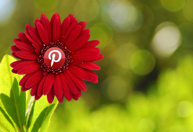 Are You Using Pinterest for Business?